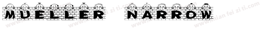 Mueller Narrow字体转换